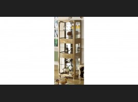 DSAS1012-47 VITRINA VERTICALA DIM 61*39*181 CM